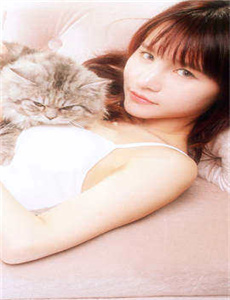 绯闻女孩